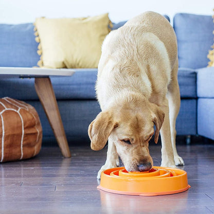 Outward Hound - Fun Feeder Slo-Bowl Large/Regular (32 x 29 x 5cm)