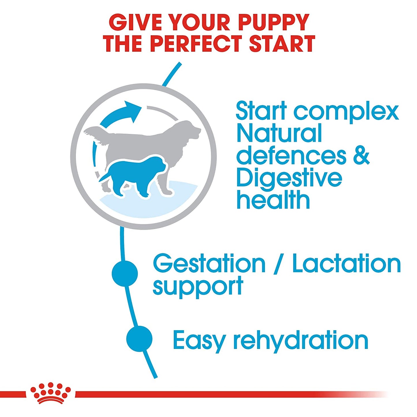 Royal Canin - Giant Starter - Dry Dog Food