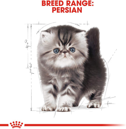 Royal Canin - Persian Kitten