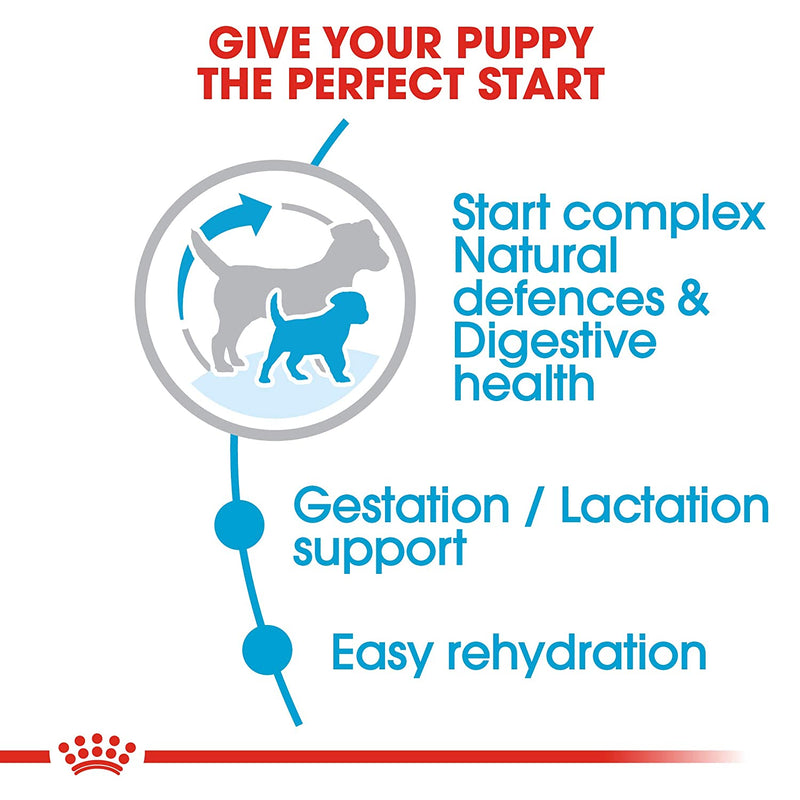 Royal Canin - Mini Starter - Dry Dog Food
