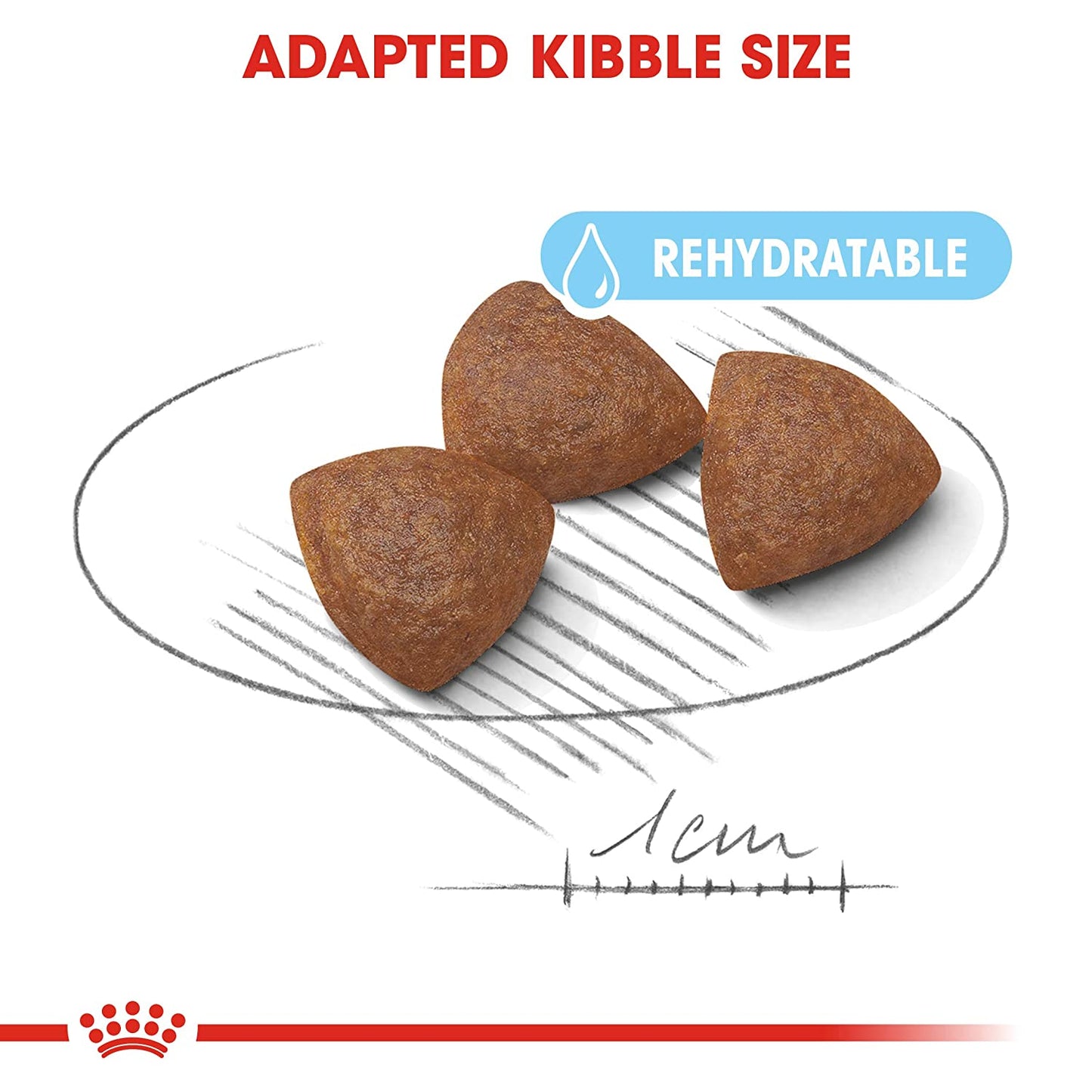 Royal Canin - Medium Starter Dry Dog Food