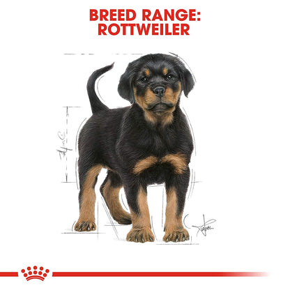 Royal Canin - Rottweiler Puppy/Junior