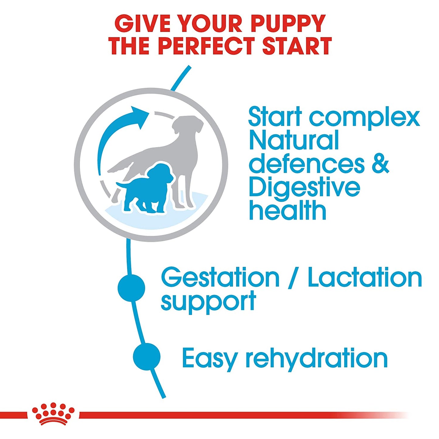 Royal Canin - Medium Starter Dry Dog Food