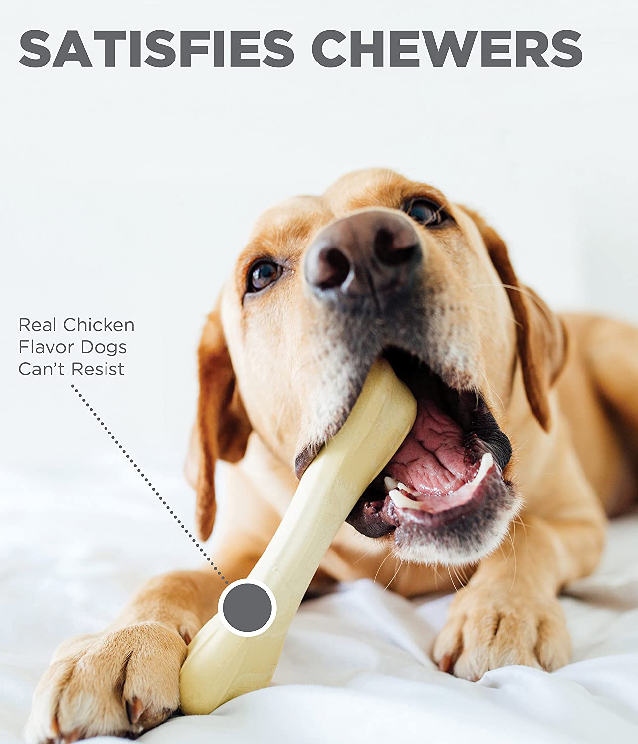 Petstages - Chik a Bone Chicken Flavor Chew