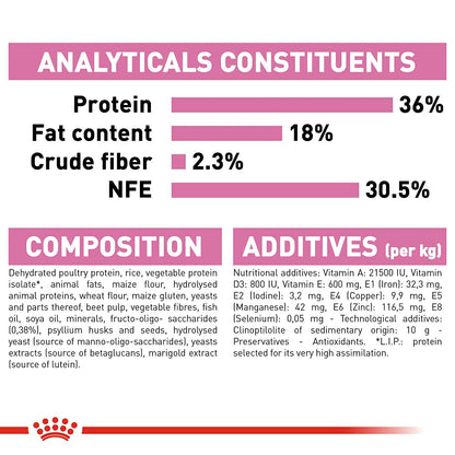 Royal Canin Second Age Kitten food