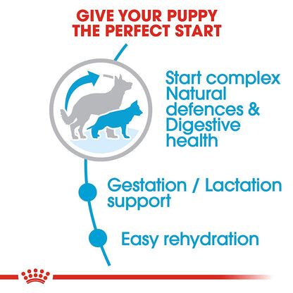 Royal Canin Maxi Starter Dry Dog Food