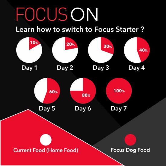 Drools - Focus - Starter Super Premium - Dry Food For Starter Dog