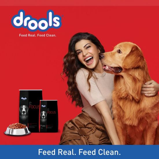 Drools - Focus - Super Premium - Dry Food For Puppy