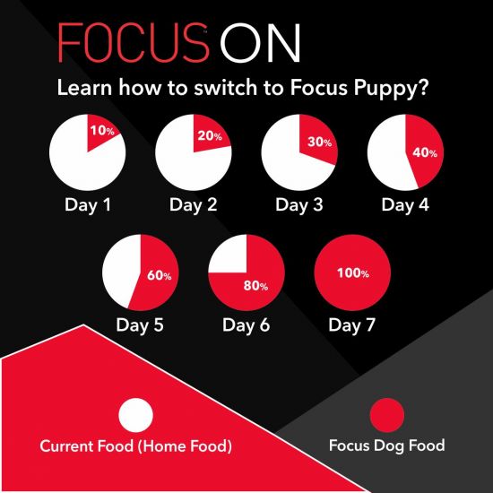 Drools - Focus - Super Premium - Dry Food For Puppy
