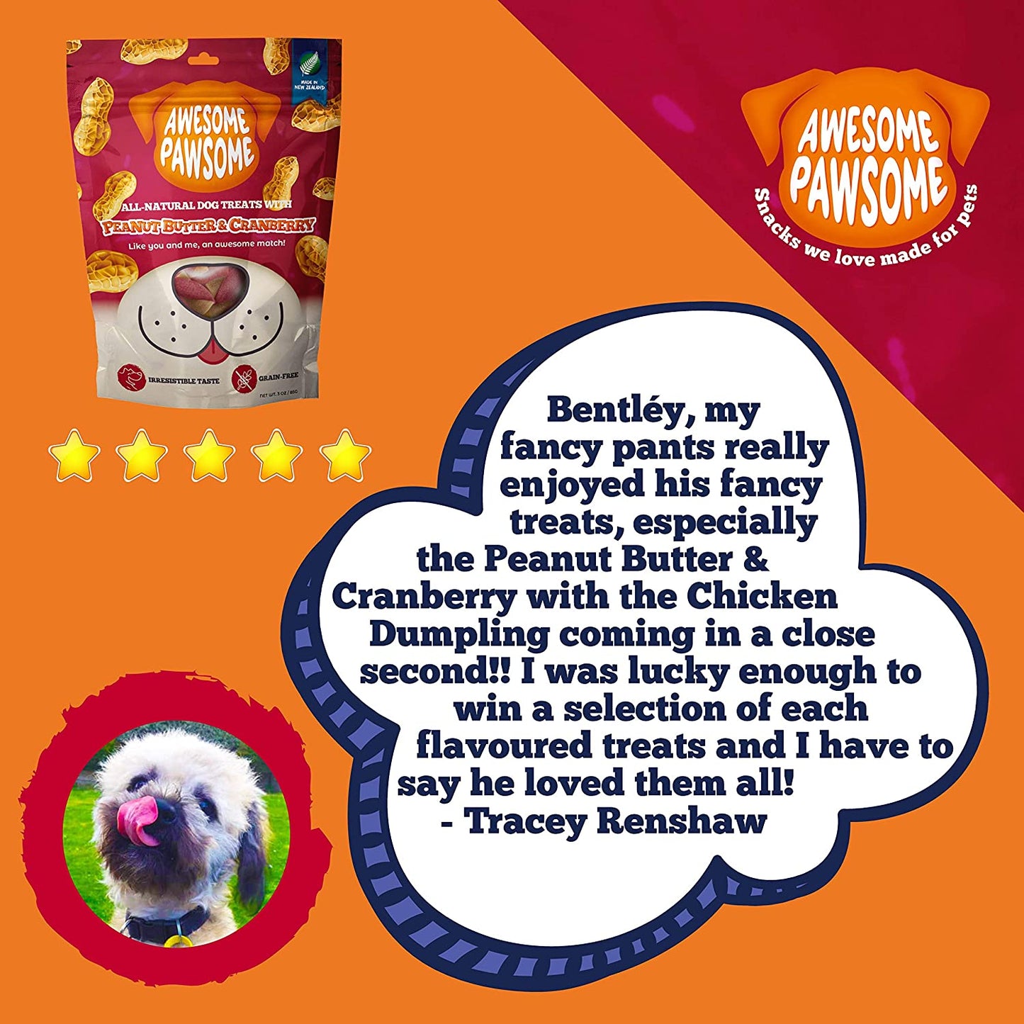 Awesome Pawsome - Peanut Butter & Cranberry All-Natural Grain-Free Dog Treats, 85g