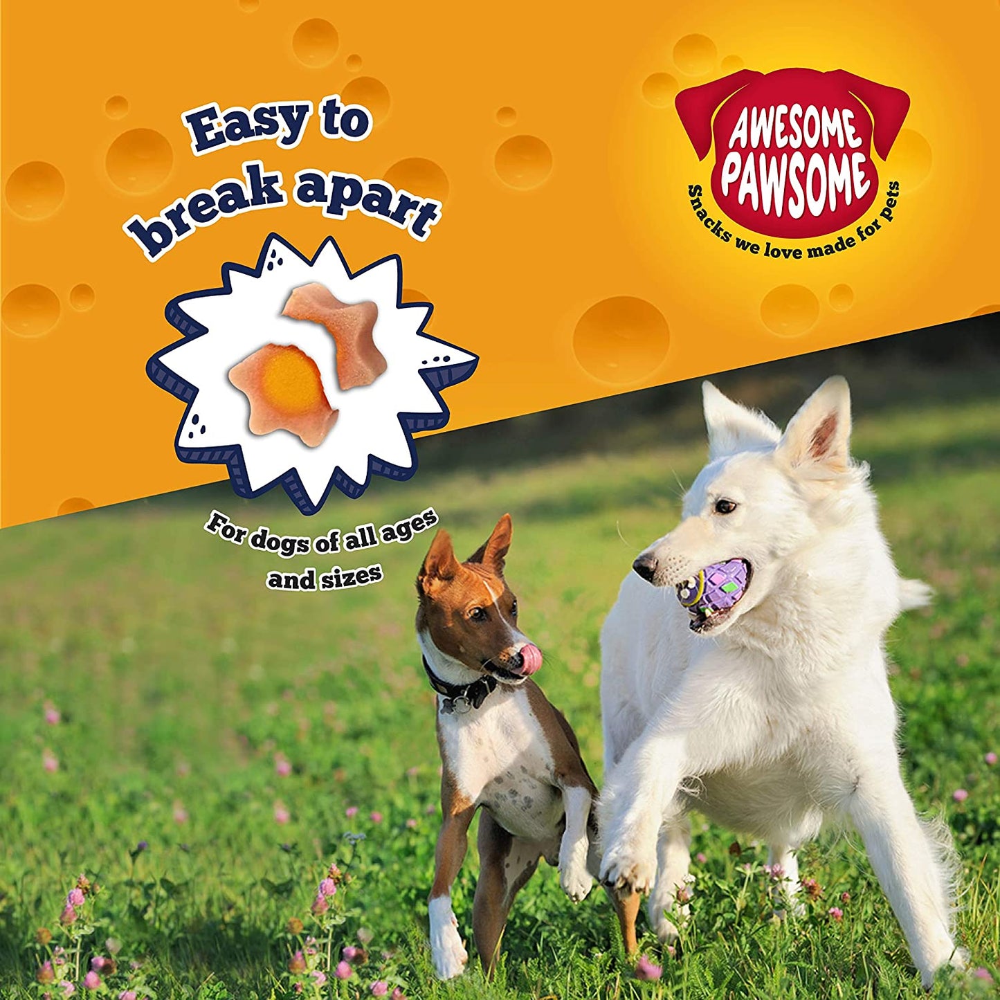 Awesome Pawsome - Baconmania All-Natural Grain-Free Dog Treats, 85g