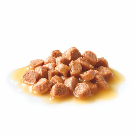 Royal Canin - Kitten - Wet Food - 85gm X 12