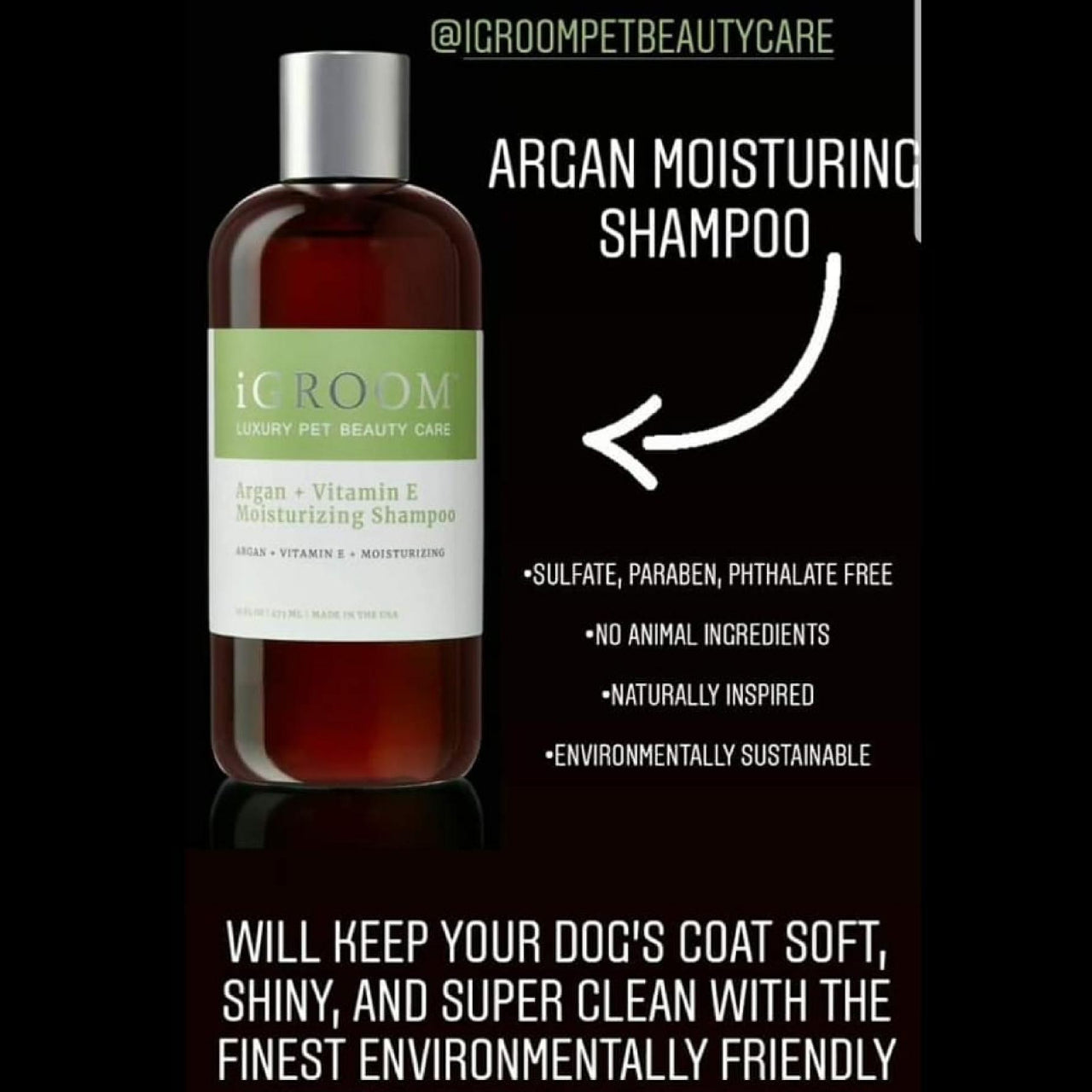 iGroom - Argan + Vitamin E Moisturizing pet shampoo