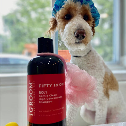 iGroom - Fifty To One (50:1) Gentle Clean High Concentrate Pet Shampoo