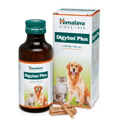 Himalaya - Digyton Plus Syrup  - Digestive Supplement For Dogs And Cats - 100ml