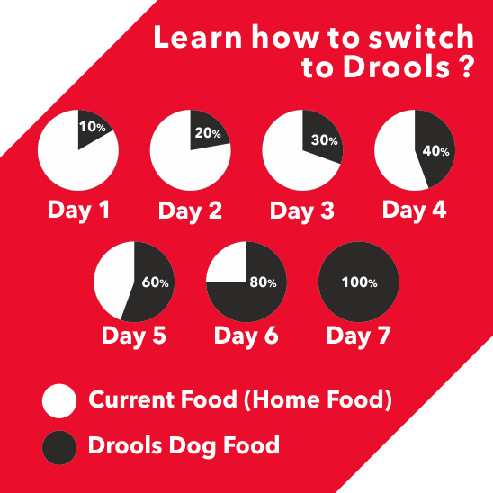 Drools - Chicken And Egg - Dry Food For Adult Dog