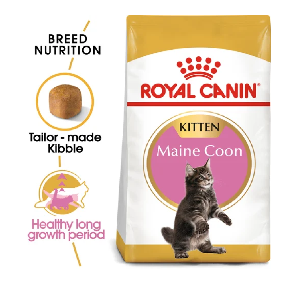 Royal Canin Maine Coon Kitten Dry Cat Food