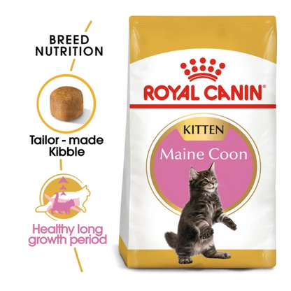 Royal Canin Maine Coon Kitten Dry Cat Food