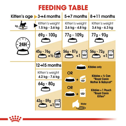 Royal Canin Maine Coon Kitten Dry Cat Food