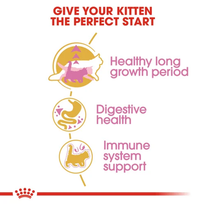 Royal Canin Maine Coon Kitten Dry Cat Food
