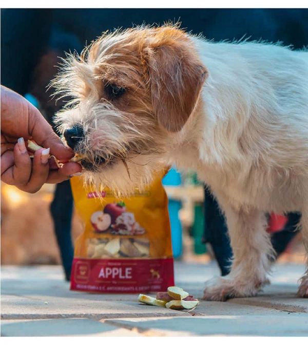 Dogsee Crunch Apple, Freeze-Dried Apple Dog Treats, 30gm