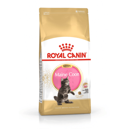 Royal Canin Maine Coon Kitten Dry Cat Food