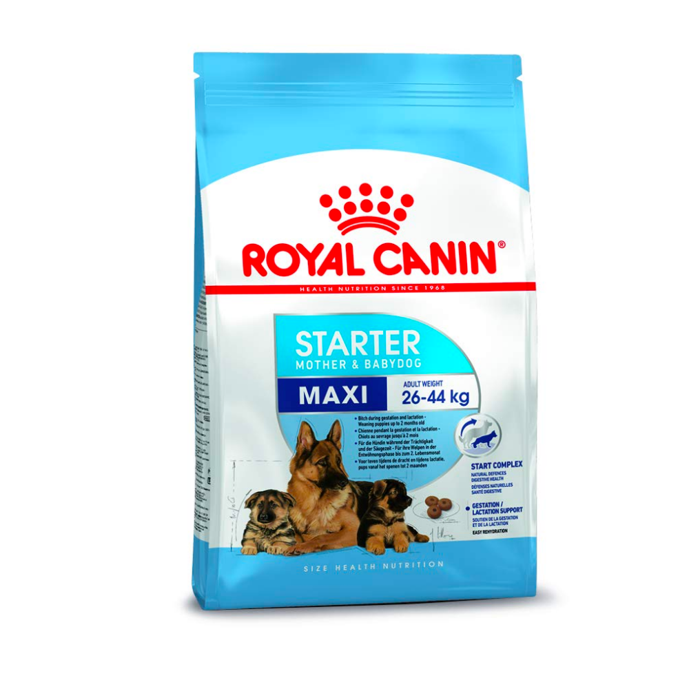 Royal Canin Maxi Starter Dry Dog Food