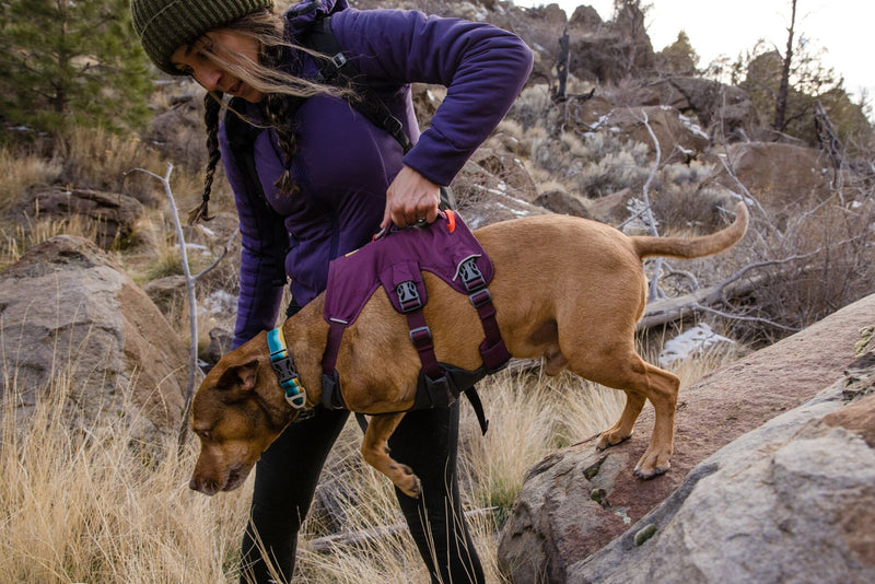 Ruffwear - Web Master Dog Harness with Handle - Red Sumac
