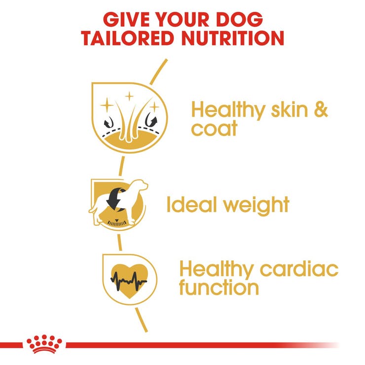 Royal Canin - Cocker Adult - Dry Dog Food