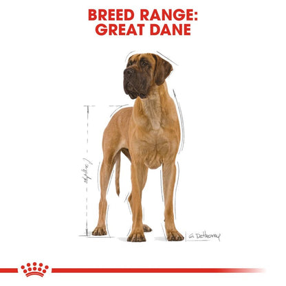 Royal Canin - Great Dane Adult - Dry Dog Food