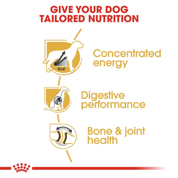 Royal Canin - Great Dane Adult - Dry Dog Food