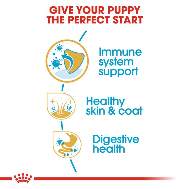 Royal Canin - Cocker Puppy - Dry Dog Food