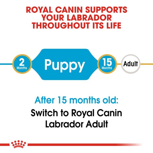 Royal Canin - Labrador Retriever Puppy - Dry Dog Food