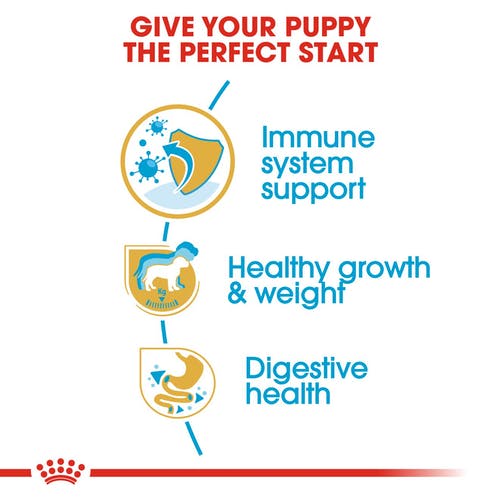 Royal Canin - Labrador Retriever Puppy - Dry Dog Food