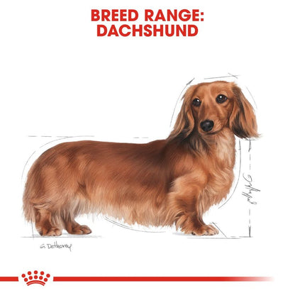 Royal Canin - Wet Dog Food - Dachshund Adult - 85g X 12 Pouches