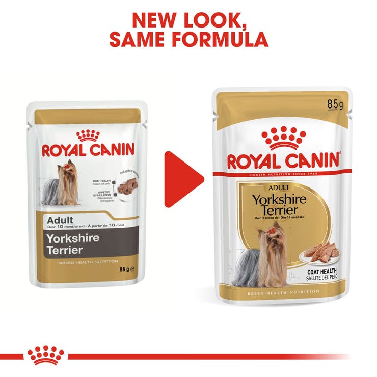 Royal Canin - Yorkshire Terrier Adult (Gravy) - 85g X 12 Pouches