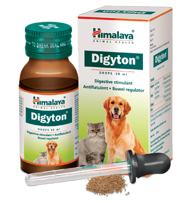 Himalaya - Digyton Drops - Digestive Supplement For Dogs And Cats - 30ml