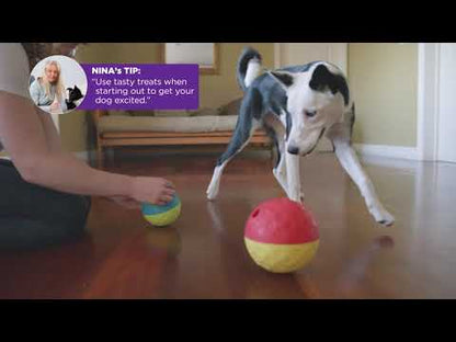 Outward Hound - Nina Ottosson Treat Tumble Ball, Small