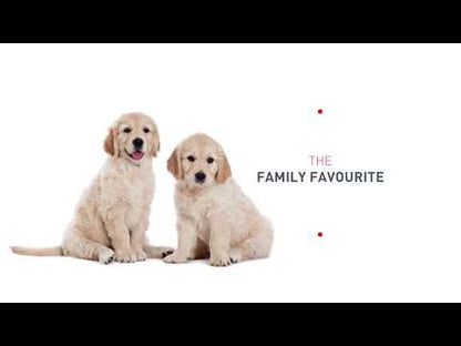 Royal Canin Golden Retriever Puppy Dry Dog Food