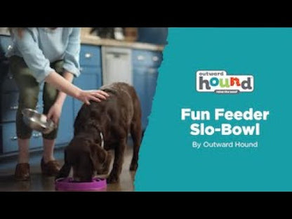 Outward Hound - Fun Feeder Slo-Bowl Mini/Medium (24 x 20 x 6cm)