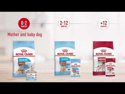 Royal Canin - Medium Puppy/Junior Dry Dog Food