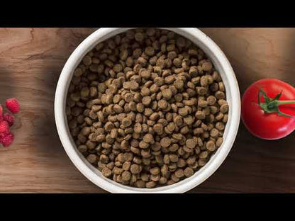 Taste of the Wild - Pacific Stream Canine Recipe with Smoked Salmon, Adult Dog food