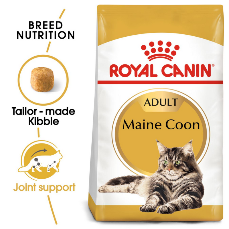 Royal Canin, Maine Coon, Adult Dry Cat Food