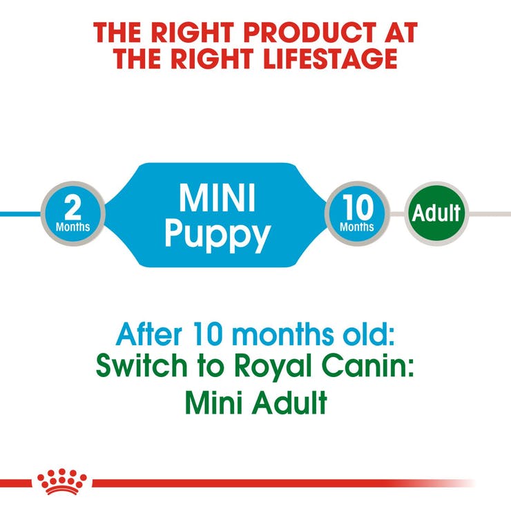 Royal Canin - Mini puppy - Wet Dog Food