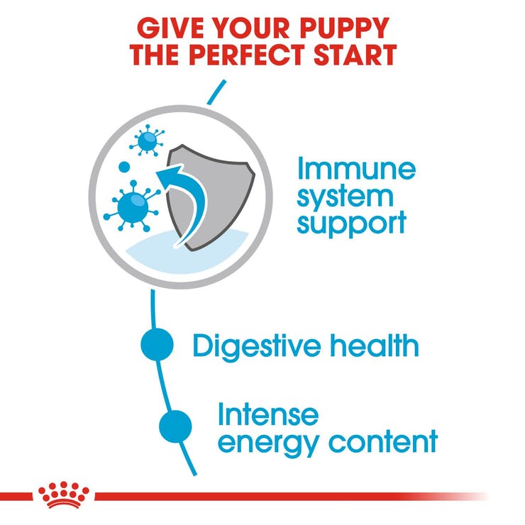 Royal Canin - Mini puppy - Wet Dog Food