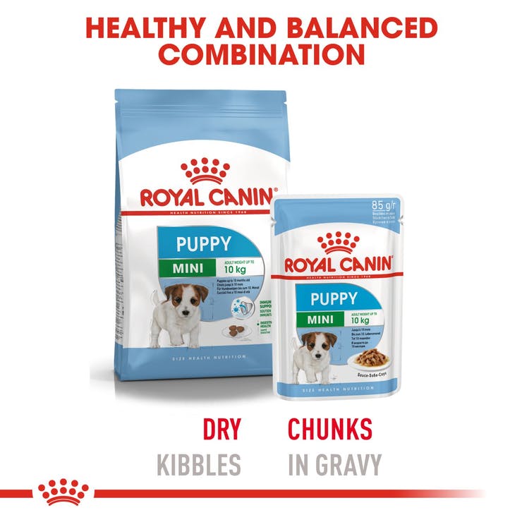 Royal Canin - Mini puppy - Wet Dog Food