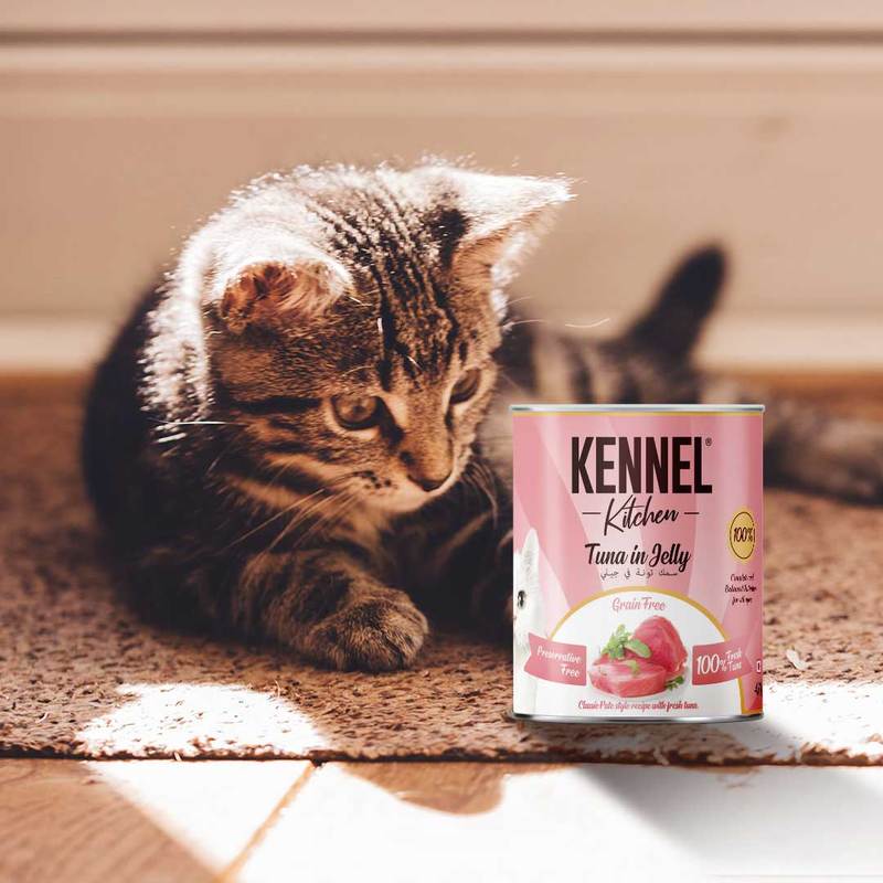 Kennel Kitchen - Tuna in Jelly 400g - Cat food