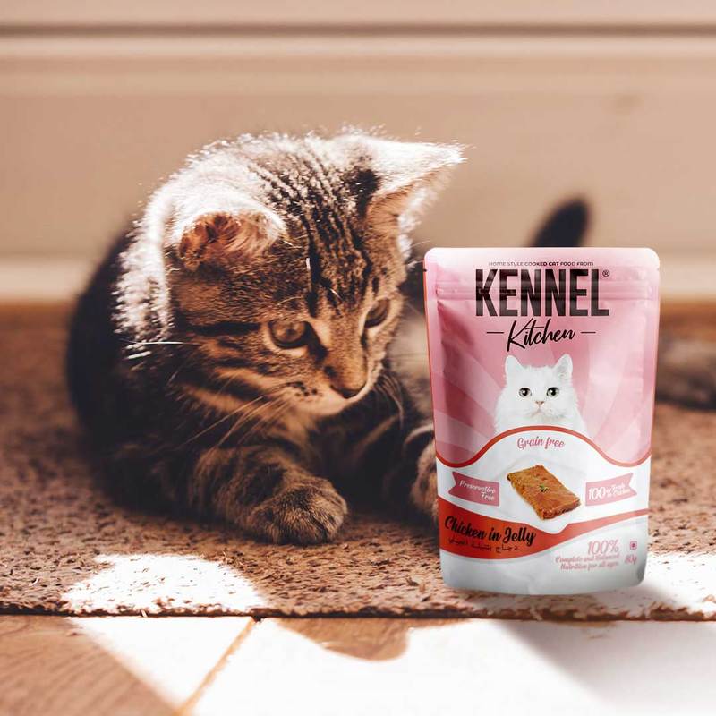 Kennel Kitchen - Chicken in Jelly - Cat Food