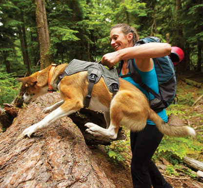 Ruffwear - Web Master Dog Harness with Handle - Red Sumac